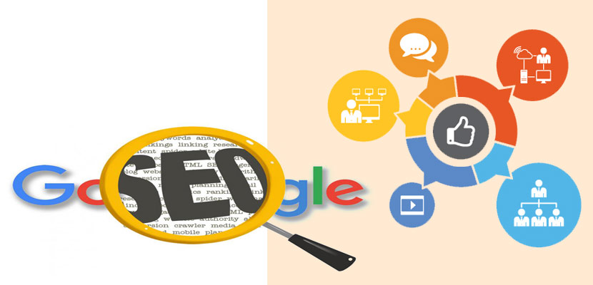 Getting to know White Search engine optimization services will help your organization increase