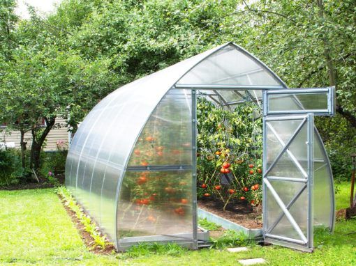 Pick the top greenhouse
