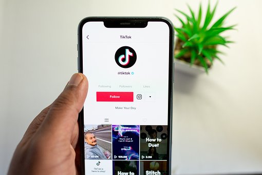 What is the best website for downloading videos from the Tik Tok app?