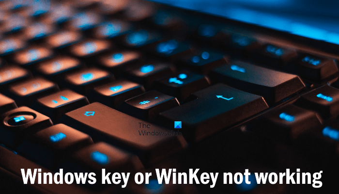 Is It Possible To Get windows 10 keys Cheaply On Reddit?