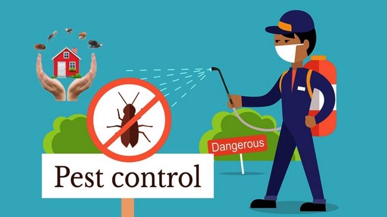 911 Exterminators: Professional Pest Control Services in Grand Prairie