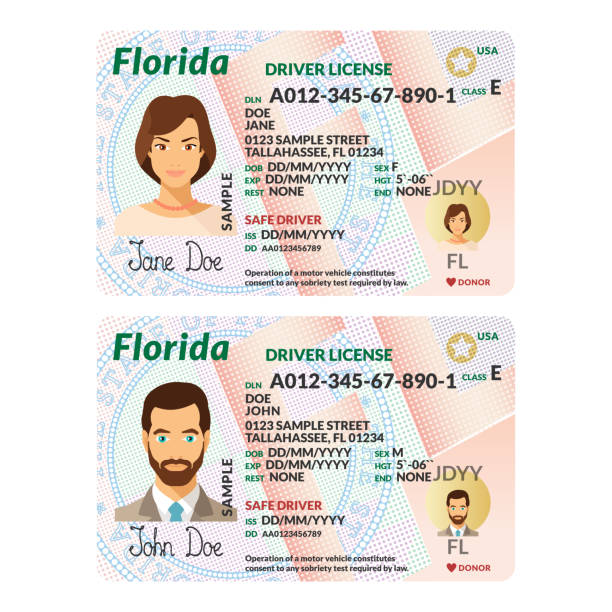 A Detailed Guide to Recognizing Scannable Fake IDs
