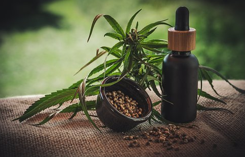 7 Good reasons to Attempt CBD Essential oil