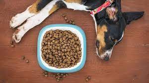 How Supplements Is Effective In Reducing Dropping and Boost the Health of Your Dog