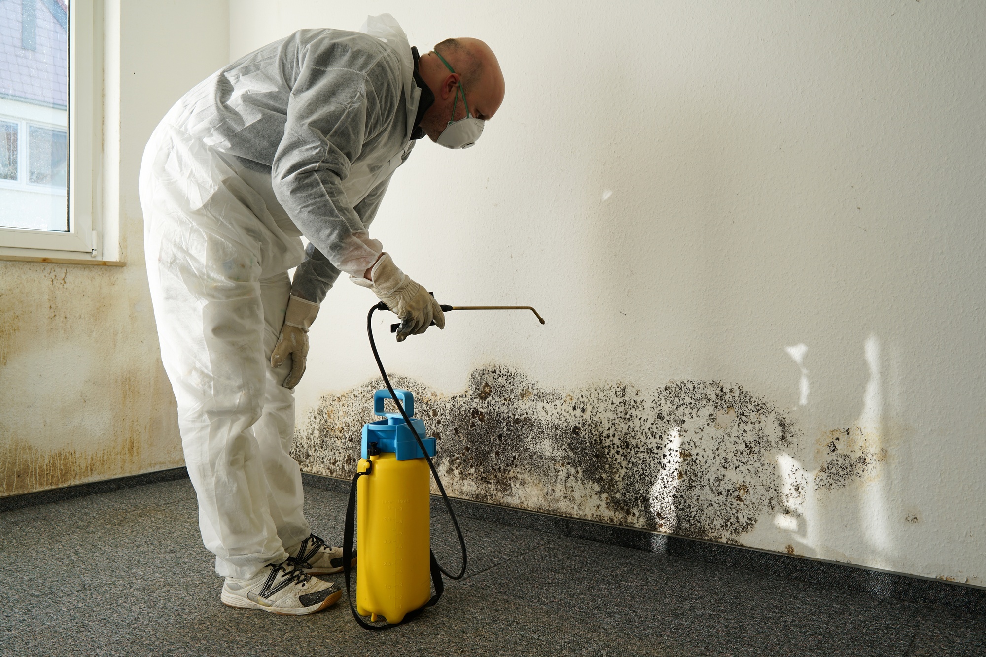 What you ought to Know About Crisis Water Damage Restoration Providers