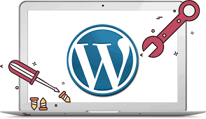 The professional in WordPress internet site management