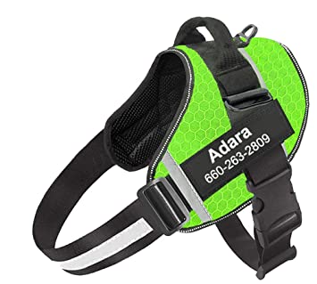 The Best Way To Work With A No Pull Dog Harness – Comprehensive Guide For Achievement