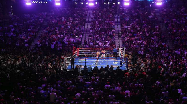 The Thrill of Victory and Agony of Defeat: The Best Online Streams for Boxing Fans