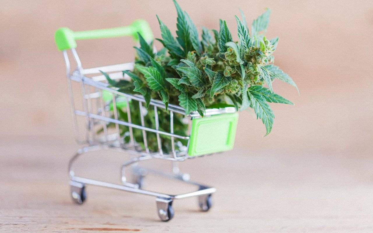 Exploring Online Dispensaries: A New Era of Cannabis Buying