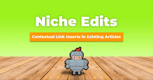 Black Hat vs. White Hat Niche Edit Backlinks: Choosing Wisely