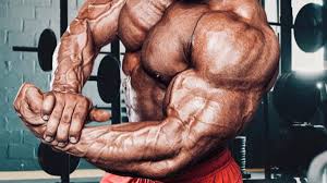 An Extensive Guide to the Use of Upsteroid