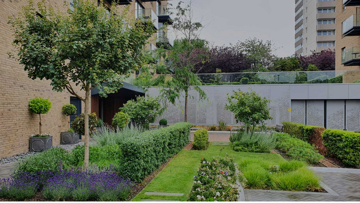 Grounds Maintenance Excellence: London’s Outdoor Oasis
