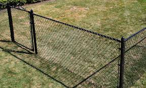 Building Borders: The Essential Function of Fences